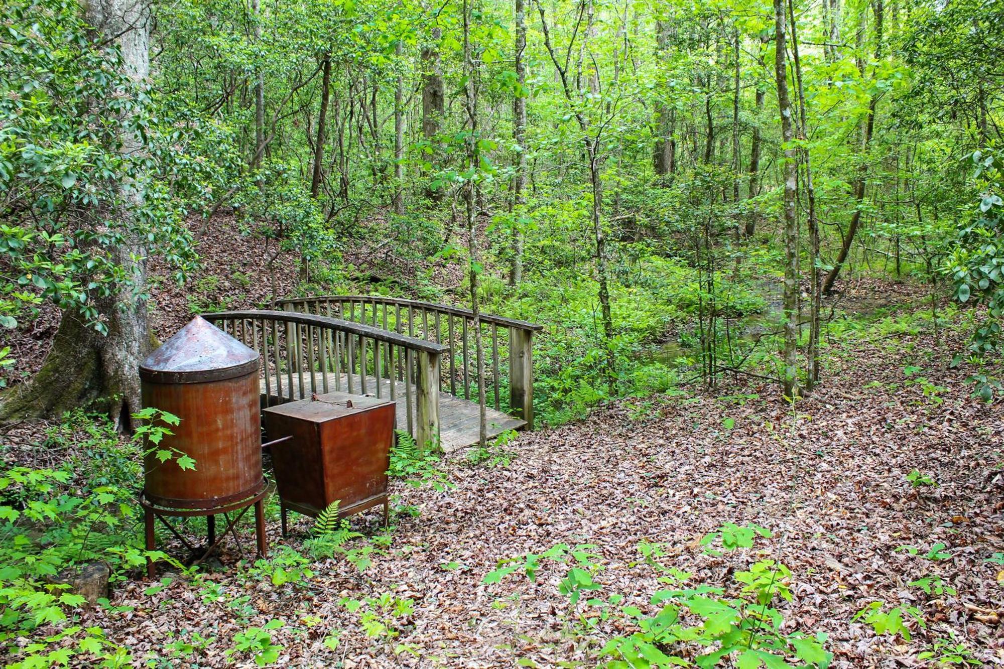 Sautee Nacoochee Mtn Paradise With Spacious Deck! Exteriör bild